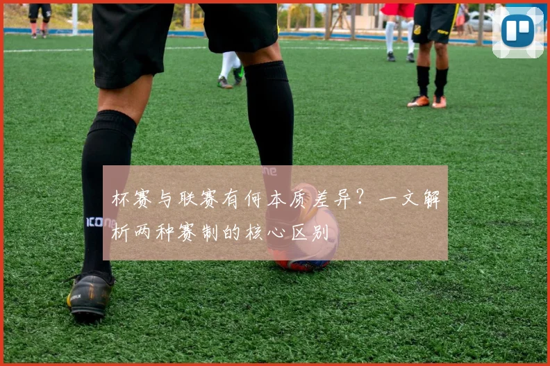 杯赛与联赛有何本质差异？一文解析两种赛制的核心区别