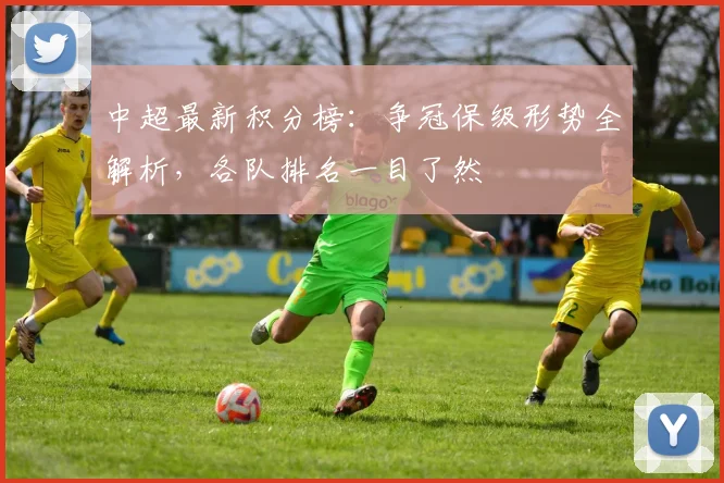 中超最新积分榜:争冠保级形势全解析,各队排名一目了然